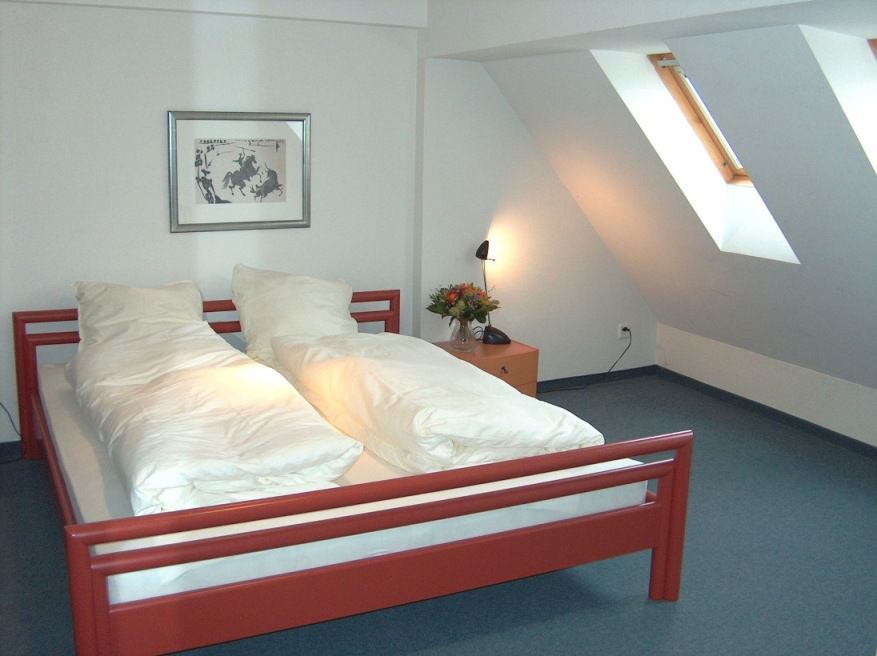 Ema House Serviced Superior Unterstrass Zurigo